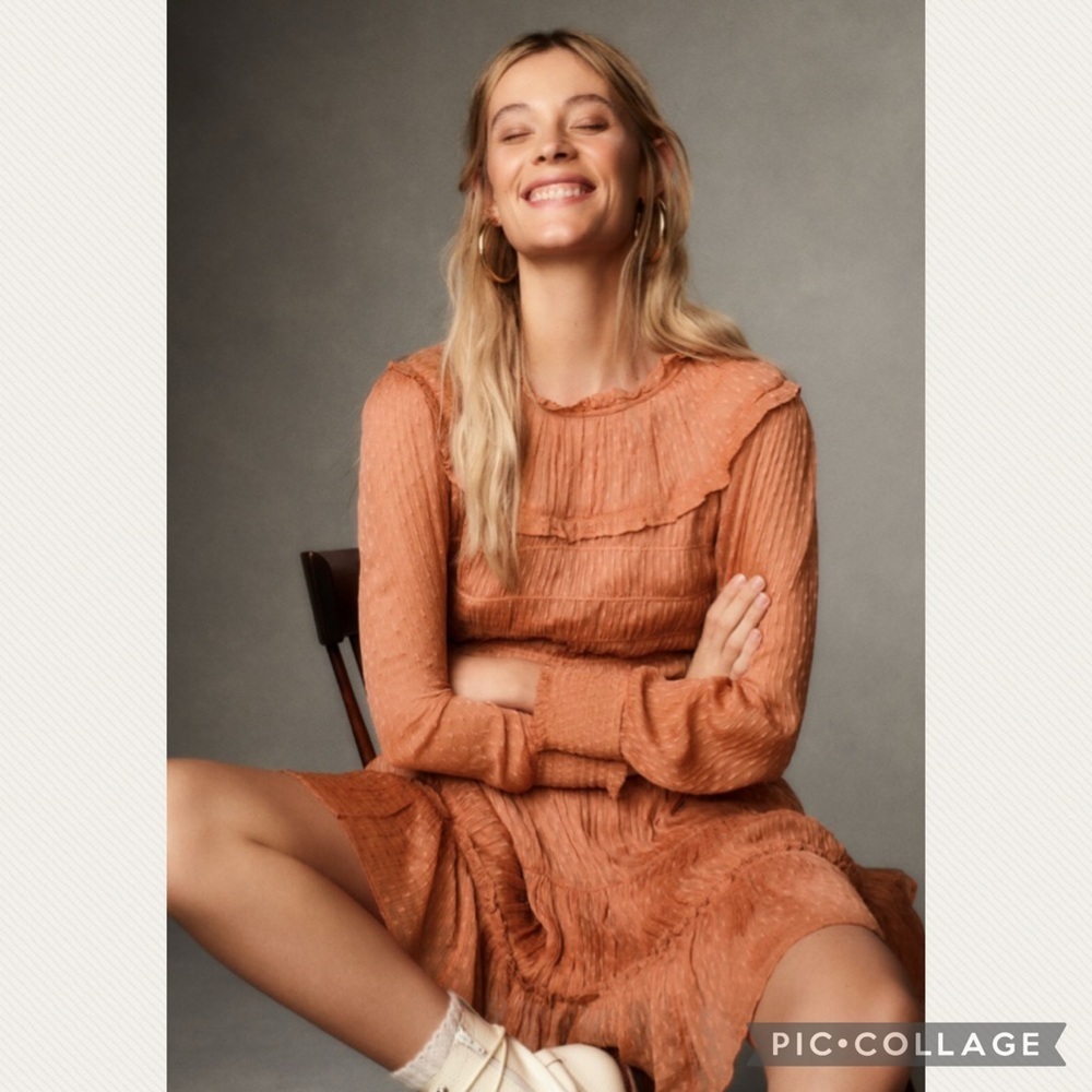 Anthropologie Dalia Pink Rose Smocked Long Sleeve Mini Dress (Price Firm)